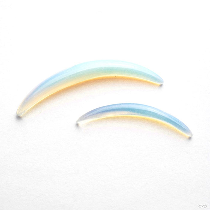 Septum Tusk in Stone from Oracle in Opalite