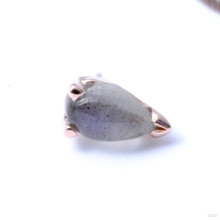 V-prong Pear Press-fit End in Gold from BVLA in Labradorite