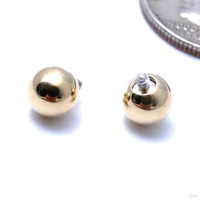 Ball Threaded End in Gold from Anatometal in 18k Yellow Gold