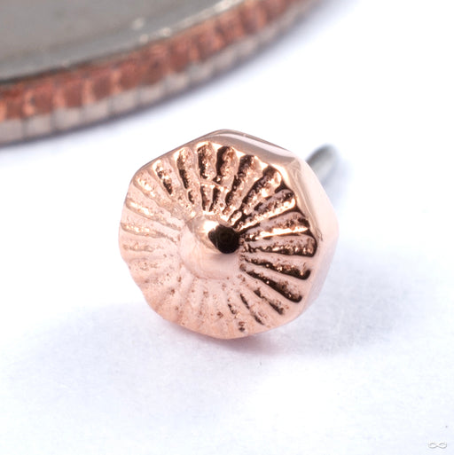 Alpha 08 Press-fit End in Gold from Tether Jewelry in rose gold