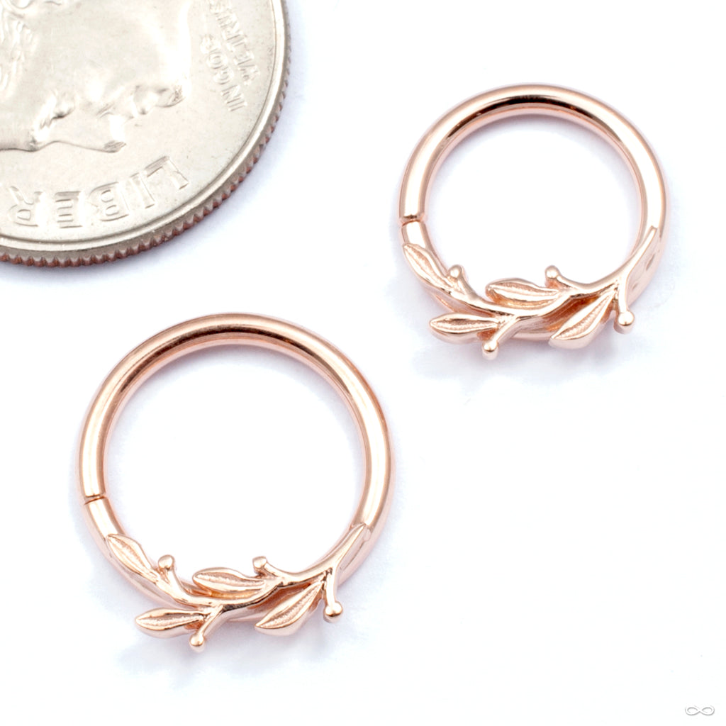 BVLA Amity Seam Ring in Gold from BVLA Infinite Body Piercing