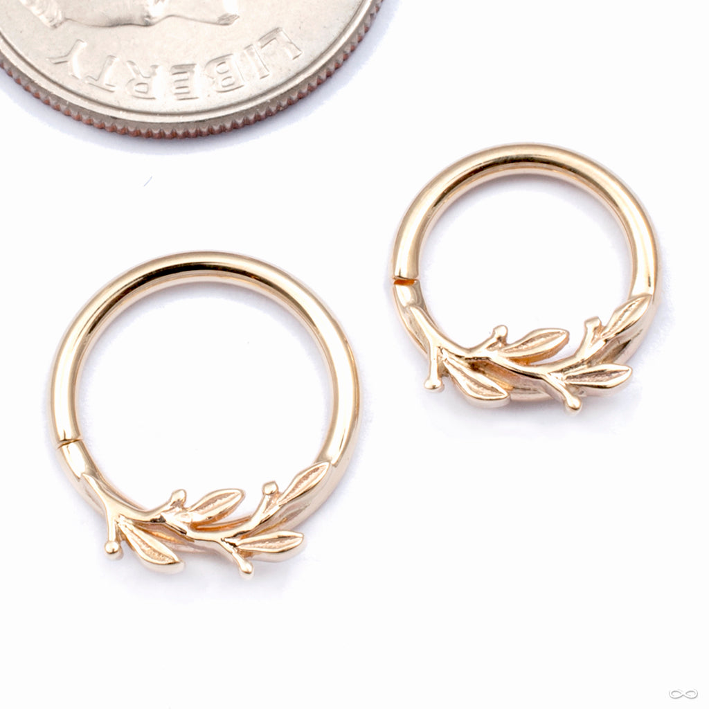 Amity Seam Ring in Gold from BVLA