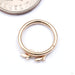 Amity Seam Ring in Gold from BVLA from the back