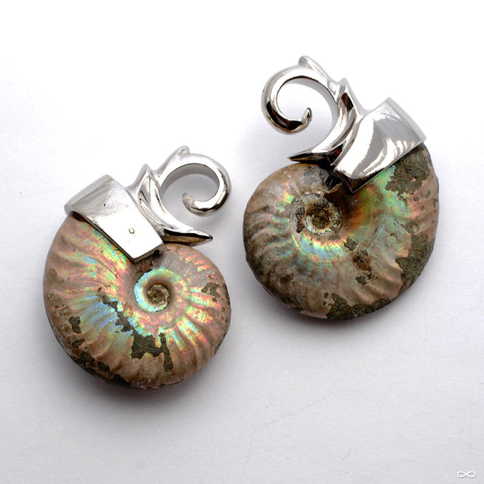 Mini Ammonite Weights from Quetzalli