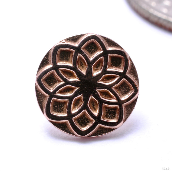 Aster 00 Press-fit End in Gold from Tether Jewelry in rose gold