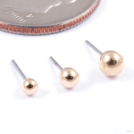 Ball Press-fit End in Gold from LeRoi in various yellow gold sizes