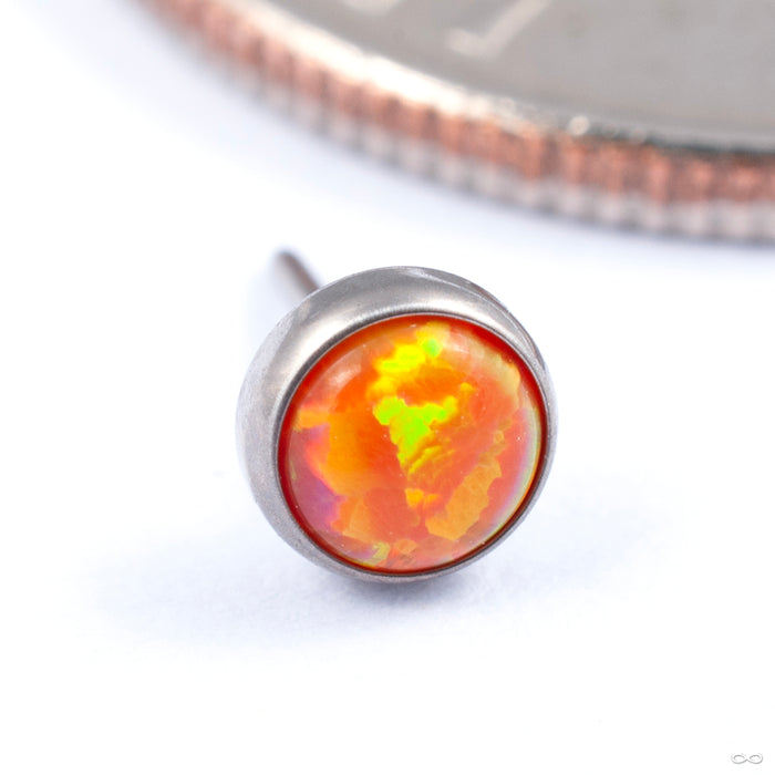 Bezel-set Cabochon Press-fit End in Titanium from NeoMetal with orange opal