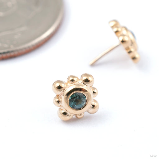 Bezel With 8 Beads Press-fit End in Gold from BVLA with tanzanite