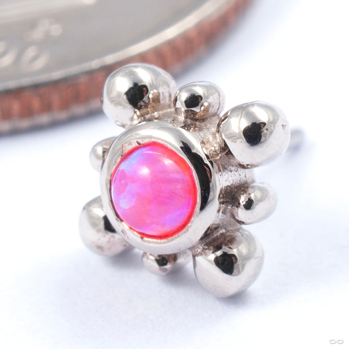 Bindi Press-fit End in Gold from LeRoi in white gold with hot pink opal