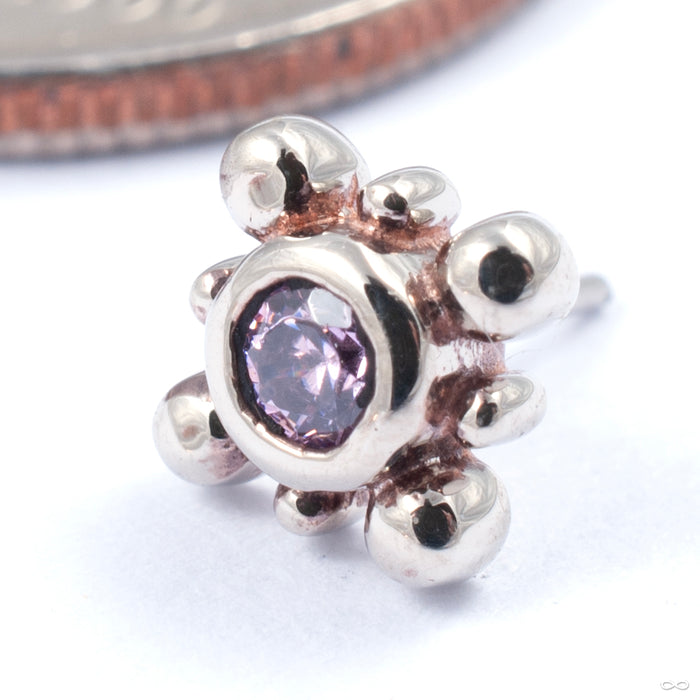 Bindi Press-fit End in Gold from LeRoi in white gold with pink