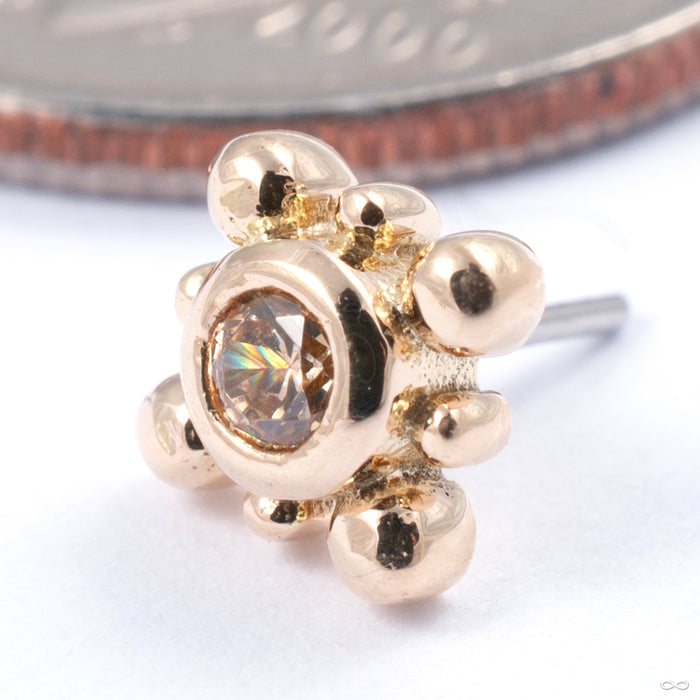 Bindi Press-fit End in Gold from LeRoi in yellow gold with champagne