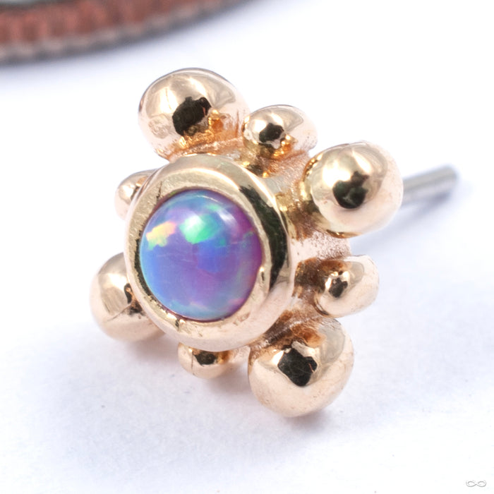 Bindi Press-fit End in Gold from LeRoi in yellow gold with lavender opal