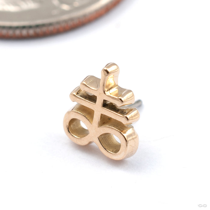 Brimstone Press-fit End in Gold from Maya Jewelry in yellow gold