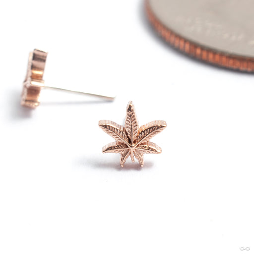 Cannabis Leaf Press-fit End in Gold from Kiwi Diamond in rose gold