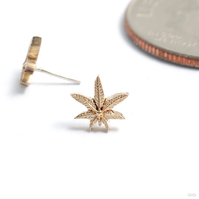Cannabis Leaf Press-fit End in Gold from Kiwi Diamond in yellow gold