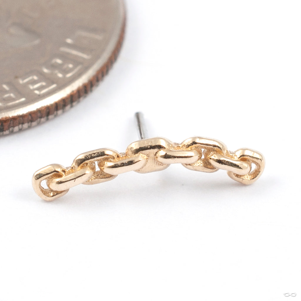 Chain Link Press-fit End in Gold from Tawapa — Infinite Body Piercing, Inc.