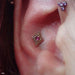 Conch Piercing with Diamond Double Millgrain Press-fit End in Gold from LeRoi