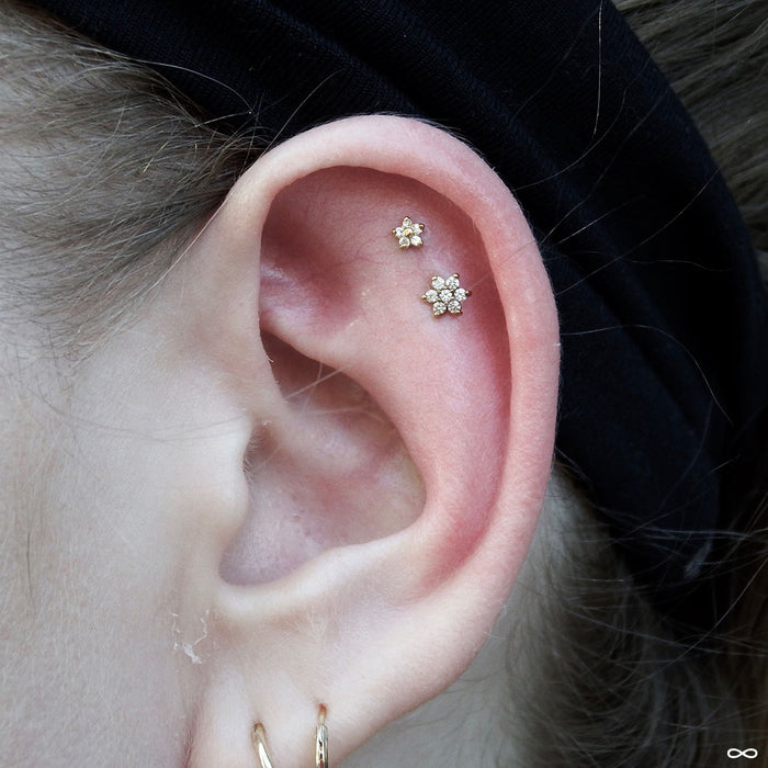 Outer helix piercing (lower) with 7 Stone Flower Press-fit End in Gold from LeRoi in Clear CZ