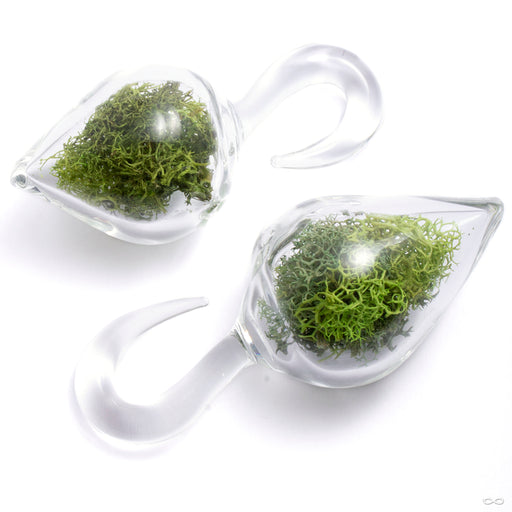 Dayak Terrarium Weights from Uzu Organics in size small with clear glass