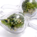 Dayak Terrarium Weights with Flowers from Uzu Organics inn size medium detail
