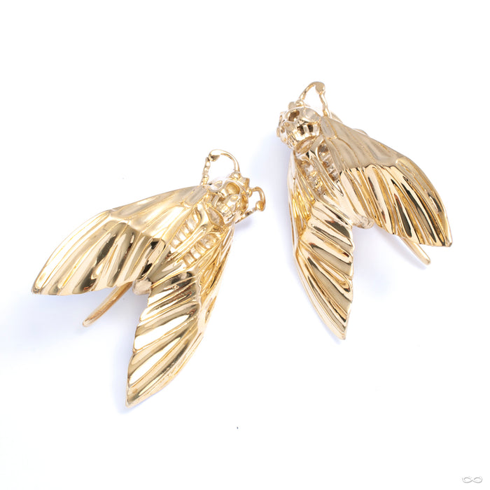 Death’s Head Moth Weights from Tawapa in yellow-gold-plated brass