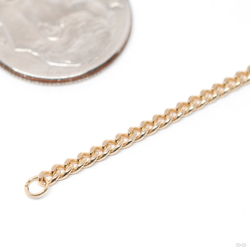 Diamond-cut Curb Chain in Gold from Hialeah detail in yellow gold