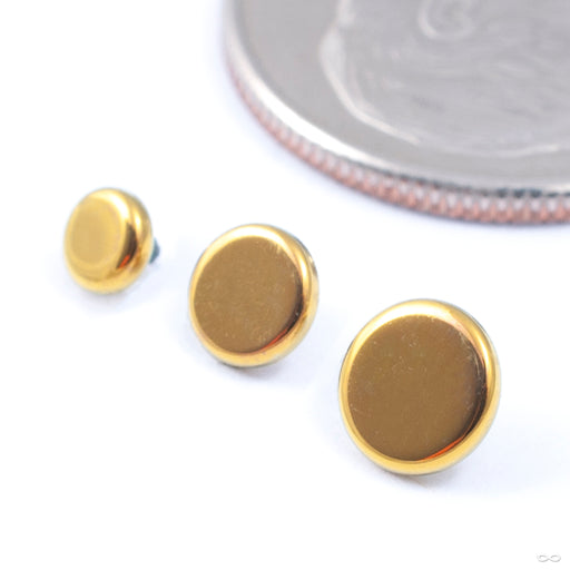 Disk Threaded End in Titanium Anodized Gold from Anatometal in assorted sizes