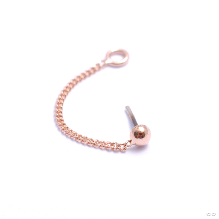 Dottie with Mini Lasso Press-fit End in Gold from Pupil Hall in rose gold