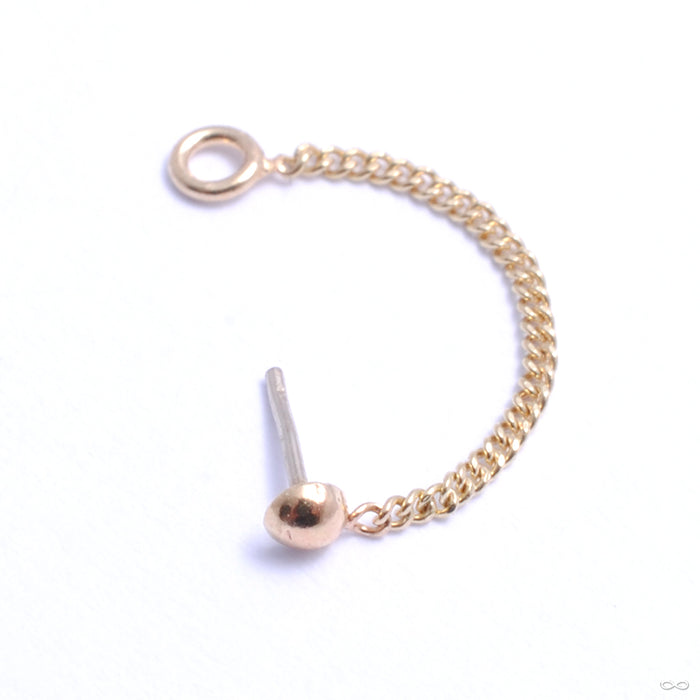 Dottie with Mini Lasso Press-fit End in Gold from Pupil Hall in yellow gold