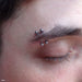 Two eyebrow piercings with Curved Press-fit Post in Titanium from NeoMetal