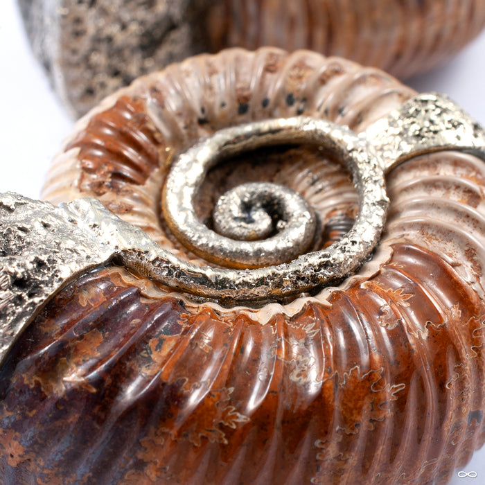 Feral Madagascar Ammonites with Hammered Brass Coils from Diablo Organics detail