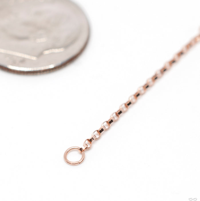 Flattened Oval Rolo Chain in Gold from Hialeah detail in rose gold