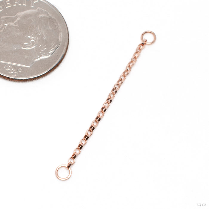 Flattened Oval Rolo Chain in Gold from Hialeah in rose gold
