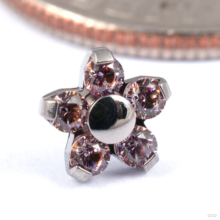 Flower Press-fit End in Titanium from NeoMetal in morganite