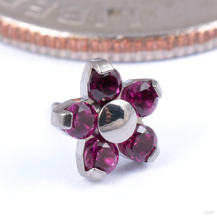 Flower Press-fit End in Titanium from NeoMetal