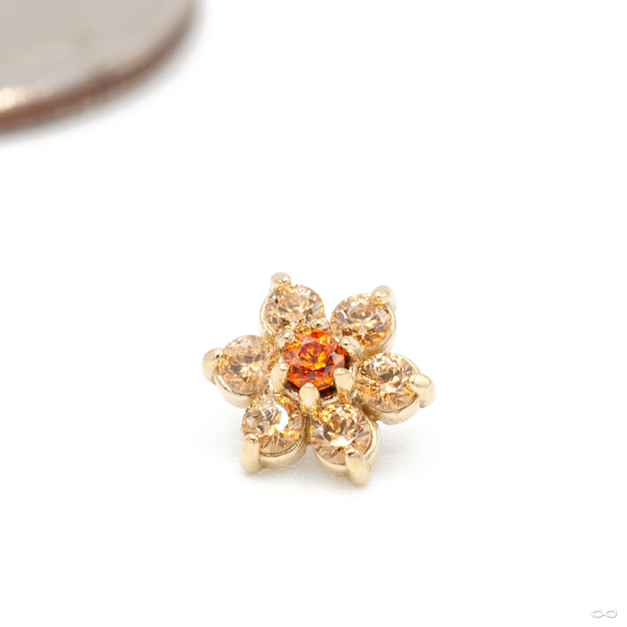 Flower Threaded End in Gold from Anatometal with amber yellow & tangerine
