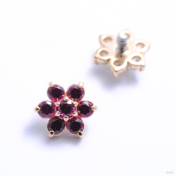 Flower Threaded End in Gold from Anatometal with dark ruby