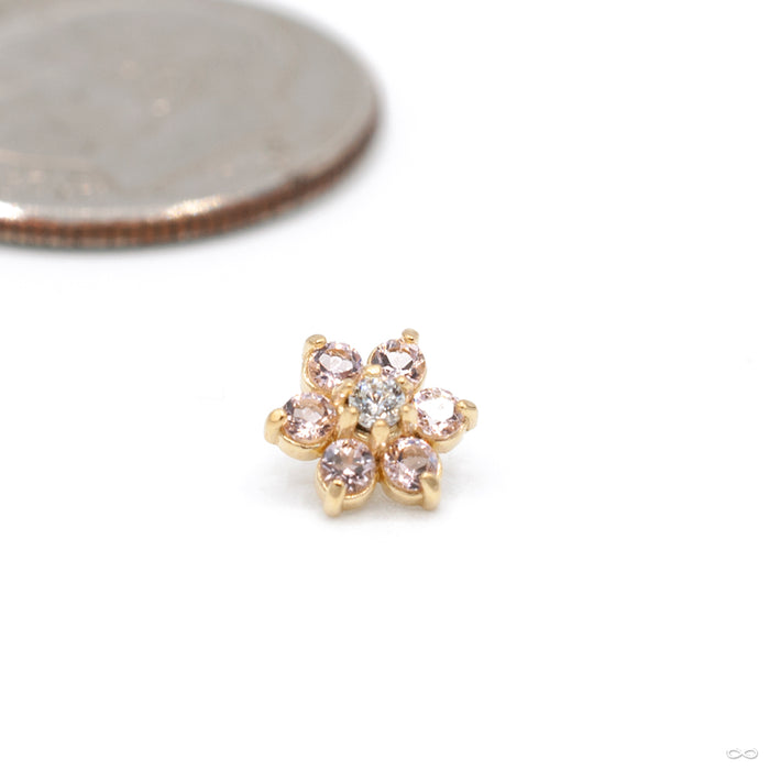 Flower Threaded End in Gold from Anatometal with dusty morganite & clear CZ