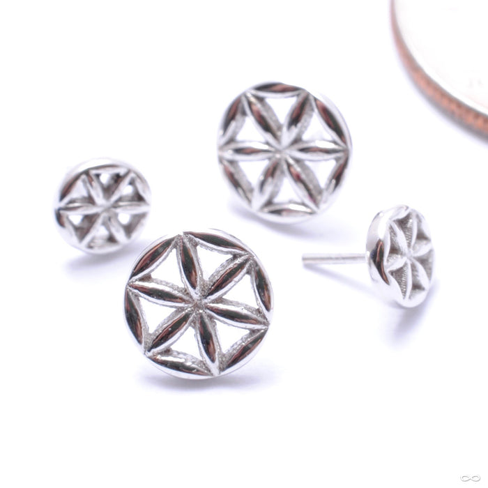 Flower of Life Press-fit End in Gold from BVLA in white gold