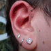 Forward helix piercing with Hammered Disk Press-fit End in Gold from BVLA