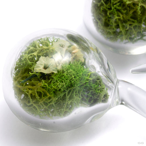 Globe Terrarium Weights with Flowers from Uzu Organics detail