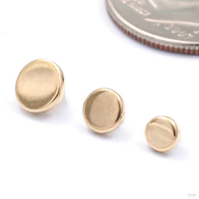 Disk Threaded End in Gold from Anatometal in assorted sizes