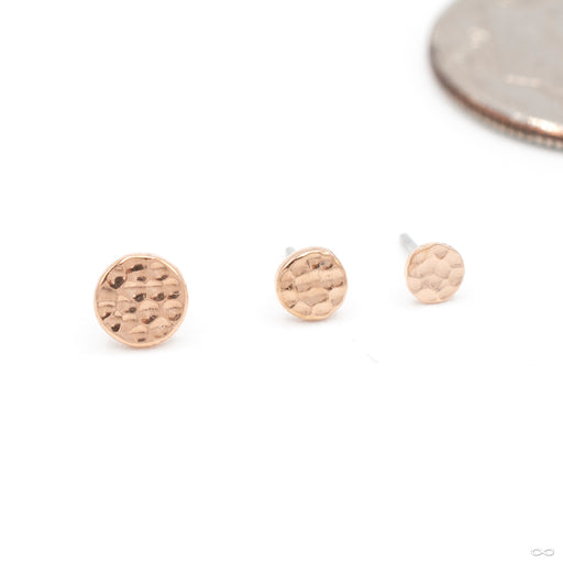 Hammered Disk Press-fit End in Gold from Anatometal in rose gold