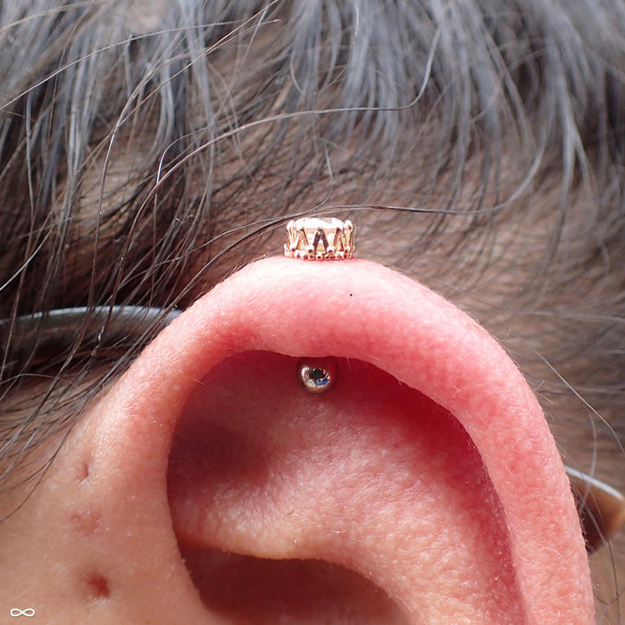 Outer helix piercing with King Press-fit End in Gold from Anatometal in Clear CZ