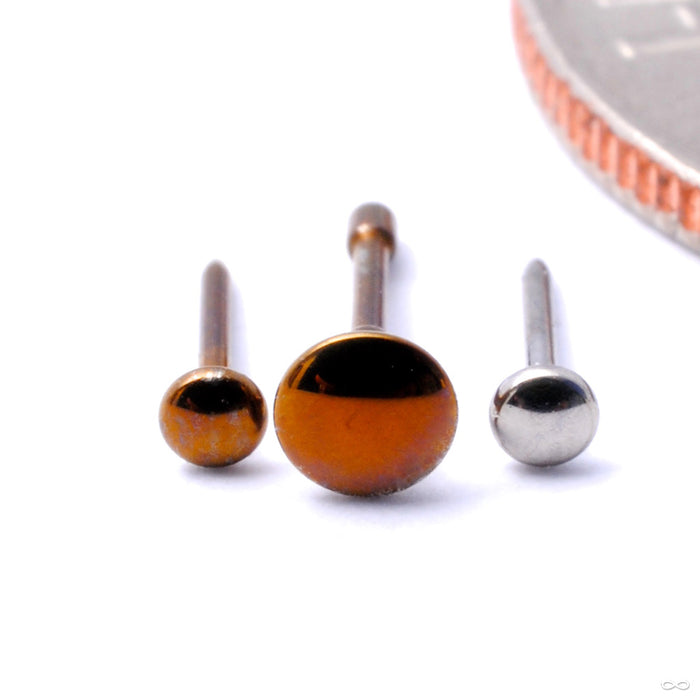 High Polish Disk Press-fit End in Titanium from NeoMetal in dark brown and gray