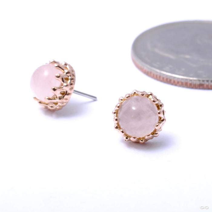 King Press-fit End in Gold from Anatometal with rose quartz