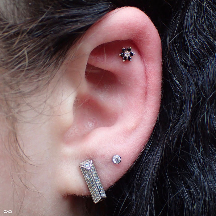 Outer helix piercing with 7 Stone Flower Press-fit End in Gold from LeRoi in Black CZ & Champagne CZ