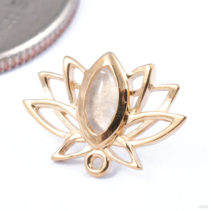 Lotus Press-fit End in Gold from Auris Jewellery in yellow gold with rainbow moonstone