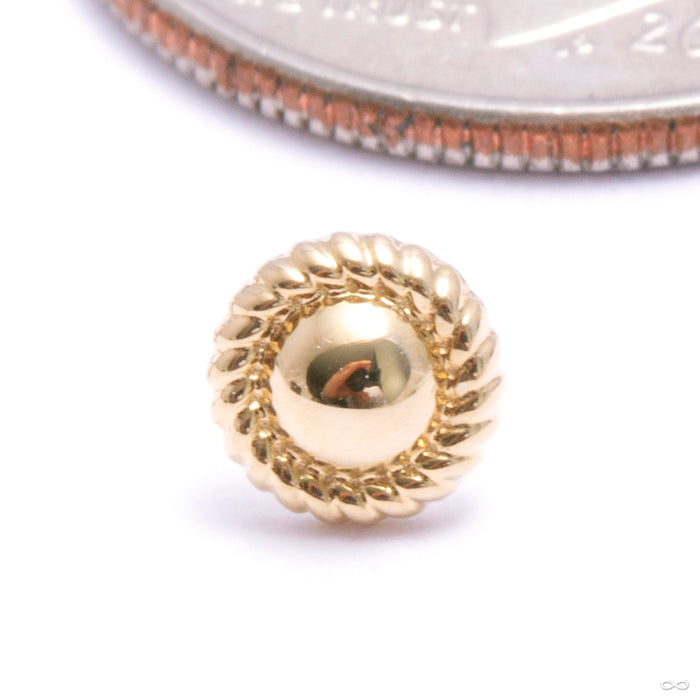 Marianna Press-fit End in Gold from Auris Jewellery in yellow gold