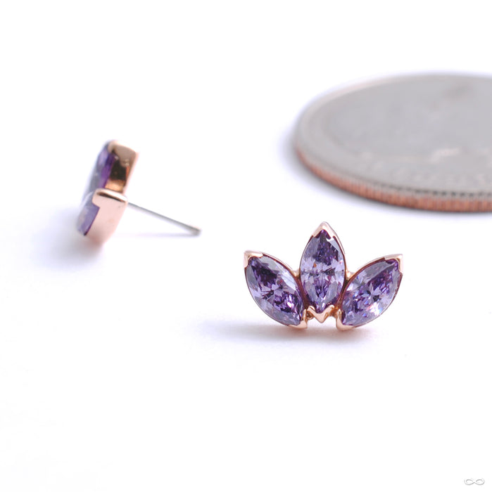 Marquise Fan Press-fit End in Gold from Anatometal with amethyst